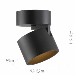 Paul Neuhaus LED-Deckenleuchte 1flg schwarz^ Deckenleuchten