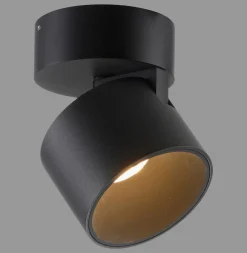 Paul Neuhaus LED-Deckenleuchte 1flg schwarz^ Deckenleuchten