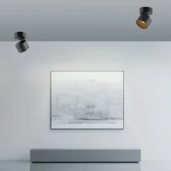 Paul Neuhaus LED-Deckenleuchte 1flg schwarz^ Deckenleuchten