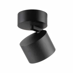 Paul Neuhaus LED-Deckenleuchte 1flg schwarz^ Deckenleuchten