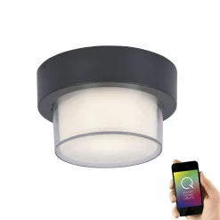 Paul Neuhaus LED-Deckenleuchte 1flg schwarz^ Deckenleuchten