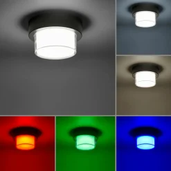 Paul Neuhaus LED-Deckenleuchte 1flg schwarz^ Deckenleuchten