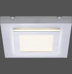 Paul Neuhaus LED-Deckenleuchte 2flg silberfarben^ Deckenleuchten