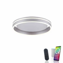 Paul Neuhaus LED-Deckenleuchte 1flg silberfarben^ Deckenleuchten