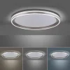 Deckenleuchten>Paul Neuhaus LED-Deckenleuchte 1flg silberfarben