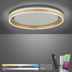Deckenleuchten>Paul Neuhaus LED-Deckenleuchte 1flg goldfarben