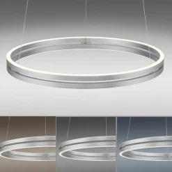 Paul Neuhaus LED-Pendelleuchte 2flg silberfarben^ Pendelleuchten