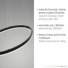 Pendelleuchten>Paul Neuhaus LED-Pendelleuchte 1flg schwarz