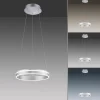 Paul Neuhaus LED-Pendelleuchte 1flg silberfarben^ Pendelleuchten
