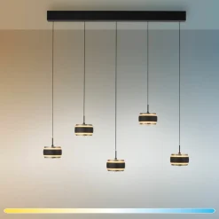 Paul Neuhaus LED-Pendelleuchte 5flg schwarz^ Pendelleuchten