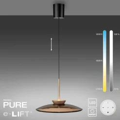 Paul Neuhaus LED-Pendelleuchte 2flg braun^ Pendelleuchten