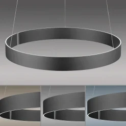 Paul Neuhaus LED-Pendelleuchte 2flg grau^ Pendelleuchten