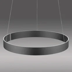 Paul Neuhaus LED-Pendelleuchte 2flg grau^ Pendelleuchten