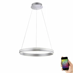 Pendelleuchten>Paul Neuhaus LED-Pendelleuchte 1flg silberfarben