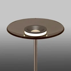 Paul Neuhaus LED-Stehleuchte 2flg braun^ Stehleuchten