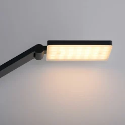 Paul Neuhaus LED-Stehleuchte 1flg grau^ Stehleuchten