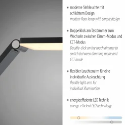Paul Neuhaus LED-Stehleuchte 1flg grau^ Stehleuchten