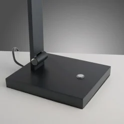 Paul Neuhaus LED-Tischleuchte 1flg grau^ Tischleuchten