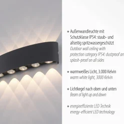 Paul Neuhaus LED-Wandleuchte 10flg schwarz^ Außenwandleuchten|Außenleuchten