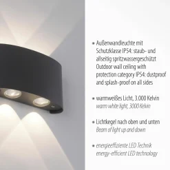 Paul Neuhaus LED-Wandleuchte 4flg schwarz^ Außenwandleuchten|Außenleuchten