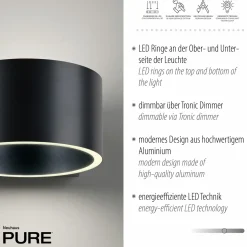 Paul Neuhaus LED-Wandleuchte 2flg grau^ Wandleuchten
