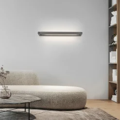 Paul Neuhaus LED-Wandleuchte 1flg grau^ Wandleuchten