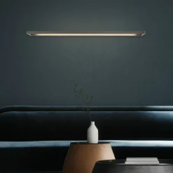 Wandleuchten>Paul Neuhaus LED-Wandleuchte 1flg grau
