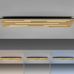 Paul Neuhaus LED-Wand-u. Deckenleuchte 1flg braun^ Wandleuchten