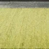 Moderne Teppiche>Paulig Handwebteppich grün