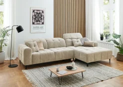 Sofas & Couches> Polstergarnitur grau