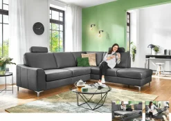 Sofas & Couches> Polstergarnitur grau