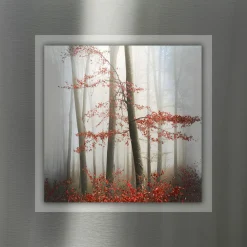 Wandbilder>Pro Art Aludibond 50x50cm mehrfarbig