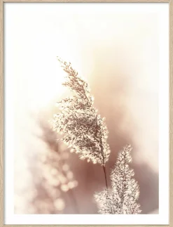 Wandbilder>Pro Art Kunstdruck gerahmt 32,5x42,5cm mehrfarbig