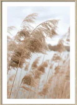 Pro Art Kunstdruck gerahmt 32,5x42,5cm mehrfarbig^ Wandbilder