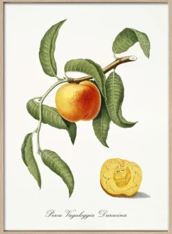 Pro Art Kunstdruck gerahmt 75x55cm mehrfarbig^ Wandbilder