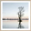 Wandbilder>Pro Art Kunstdruck gerahmt 32,5x32,5cm mehrfarbig