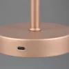 Tischleuchten>Reality Leuchten LED - Akku - Tischleuchte 1flg braun