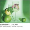 Longdrinkgläser>Ritzenhoff Cristal Hugoglas 544ml grünpink