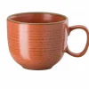 Rosenthal Cappuccinoobertasse 270ml orange^ Tassen