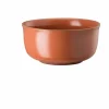 Rosenthal Müslischale 15cm orange^ Schüsseln & Schalen