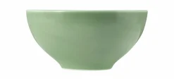 Seltmann Schüssel rund 15,5cm grün^ Schüsseln & Schalen