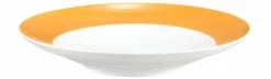 Seltmann Suppenteller 23,5cm orange^ Speiseteller