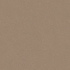 Esszimmerstühle><noscript><img width=