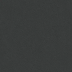 Esszimmerstühle><noscript><img width=