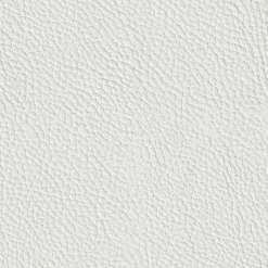 Esszimmerstühle><noscript><img width=
