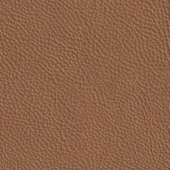 Esszimmerstühle><noscript><img width=