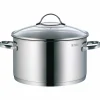 Töpfe>WMF Fleischtopf mit Deckel 24cm silberfarben