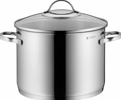 WMF Gemüsetopf m. Deckel 24cm silberfarben^ Töpfe