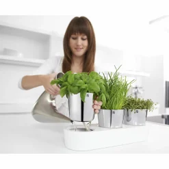 WMF Kräutergarten-Set 3tlg weiß^ Küchenzubehör