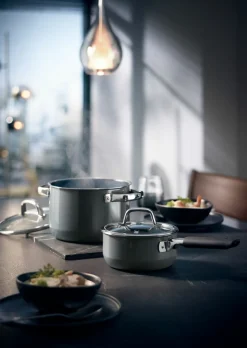 WMF Stielkasserolle 16cm grau^ Töpfe